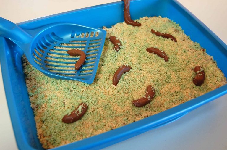 Grossest Halloween Recipe… The Kitty Litter Cake!!