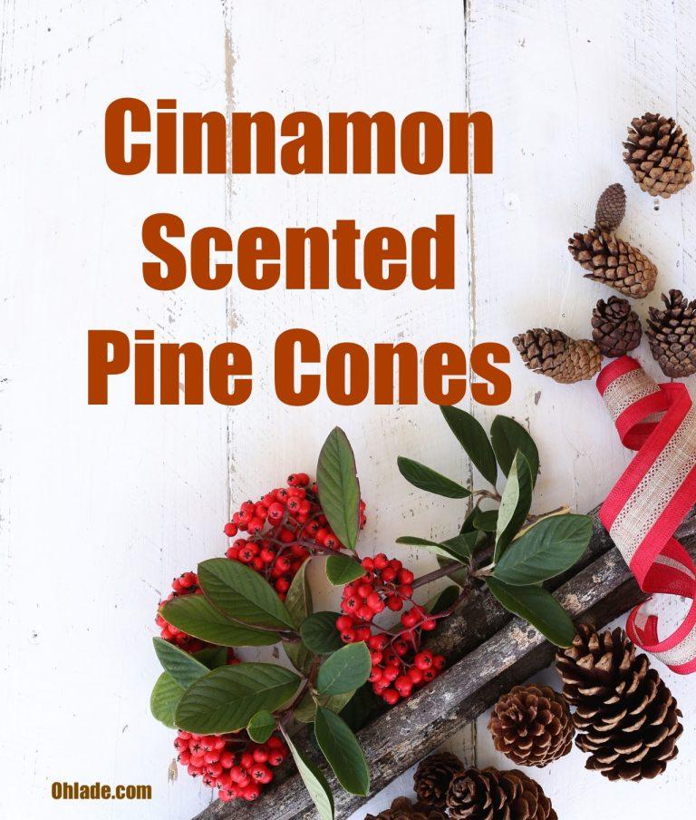 How to Make Cinnamon Pine Cones That Will Give Your Home That Feel-Good Smell