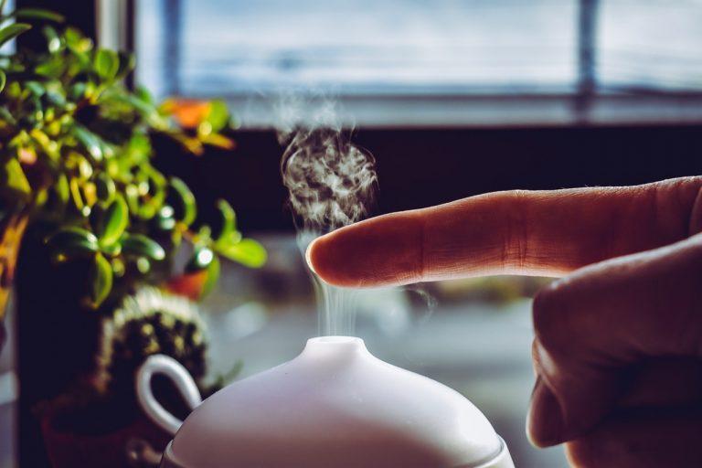 17 Must Try Recipes for Essential Oil Diffusers to Achieve a Fresh Smelling Home
