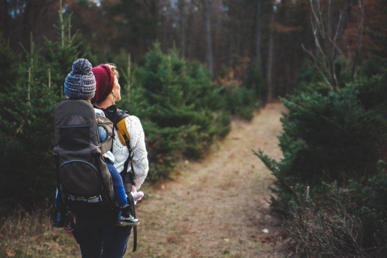 hiking lunch ideas
